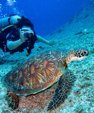 馬爾地夫旅遊推薦-馬爾地夫水肺潛水團