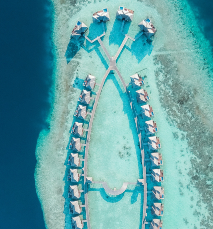馬爾地夫旅遊飯店推薦-麗莉百合島