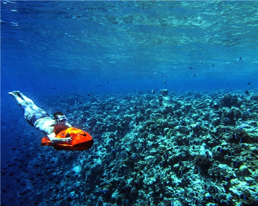 馬爾地夫旅遊-安娜塔拉、齊哈瓦島-浮潛