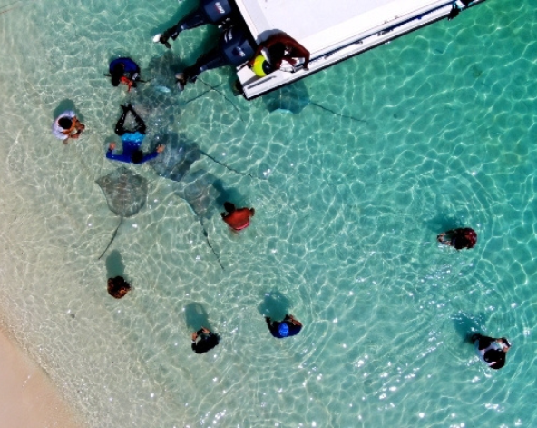 Day 5 潛水日,一日3潛