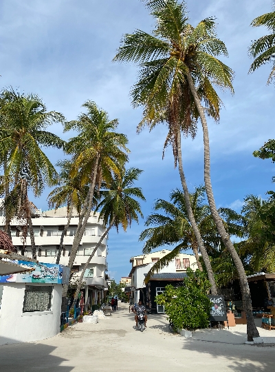經典半日出海行程(雙環礁浮潛點 / 含活動簡餐)→返回島上自由散策(可以搭配鈦美精選美食地圖解鎖晚餐時光)