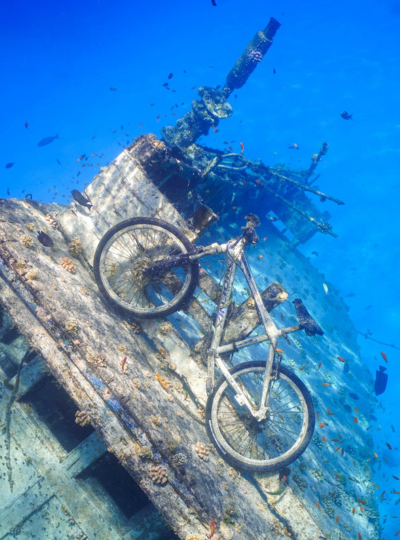 SHARK BAY經典出海行程 (海豚 / 護士鯊 / 魟魚 / 沈船)→酒店晚餐