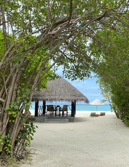 一島一飯店渡假村自由活動 (HB 早晚餐)