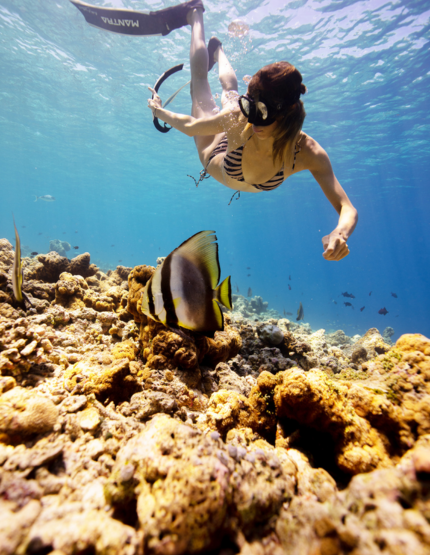 全日渡假村自由活動