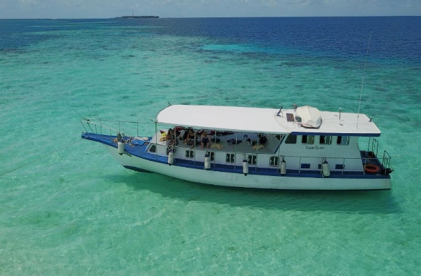 經典半日出海行程(環礁雙浮潛點 / 活動午餐)→返回房間休息→酒店晚餐