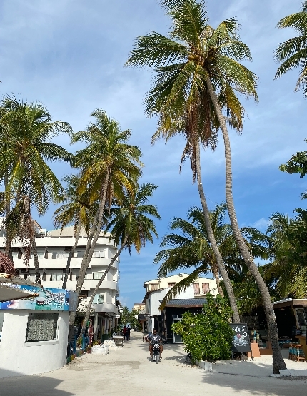 居民島自由探索 (或可自費參加舒壓按摩、享受居民島)