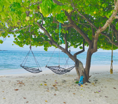 居民島自由探索 (或可自費參加體驗潛水、水上活動、舒壓按摩)→退房→前往機場轉乘快艇前往度假島→一島一飯店渡假村自由活動 (HB早晚餐)