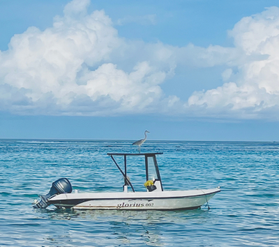 居民島自由探索 (或可自費參加體驗潛水、水上活動、舒壓按摩)→退房→前往機場轉乘快艇前往度假島→一島一飯店渡假村自由活動 (HB早晚餐)