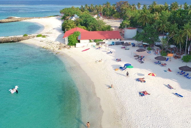 SHARK BAY與護士鯊共游、魟魚、夢幻沙洲(活動簡餐)→島上自由活動