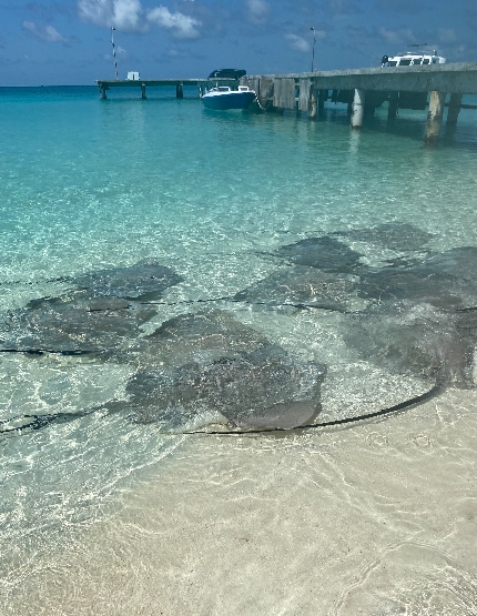 居民島自由探索 (或可自費參加體驗潛水、水上活動、舒壓按摩)