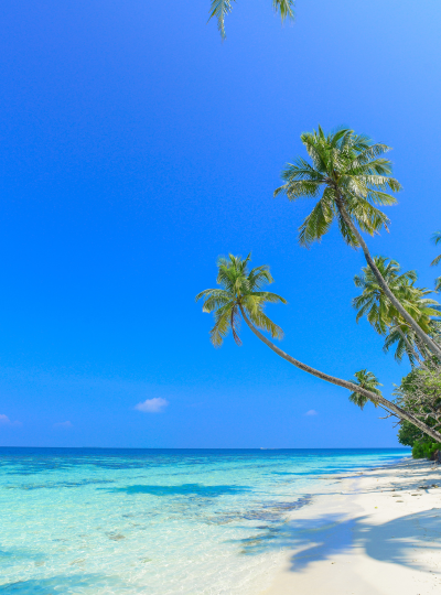 自由活動→前往機場島換乘快艇前往渡假村→入住瀉湖水上屋→渡假村自由活動(HB早晚餐)