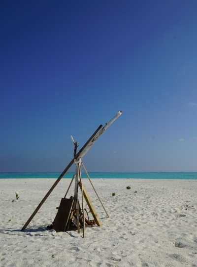 DAY 2 全日出海行程(三個點)→日落海釣→酒店晚餐