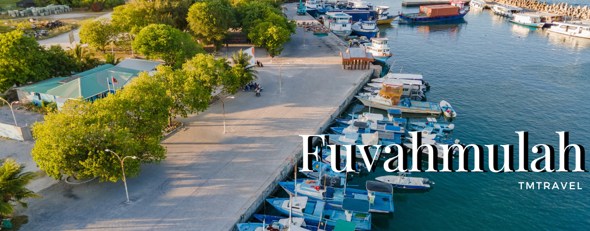 居民島全日自由活動 (可在島上自由逛逛、亦可另外安排水肺潛水)