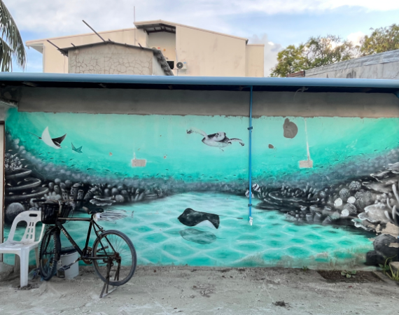 桃園→經由轉機地飛往馬列機場→前往馬富士居民島