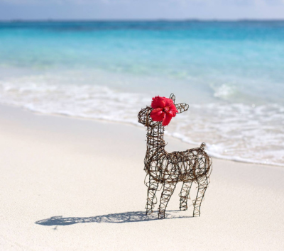 一島一飯店渡假村自由活動(HB早晚餐)