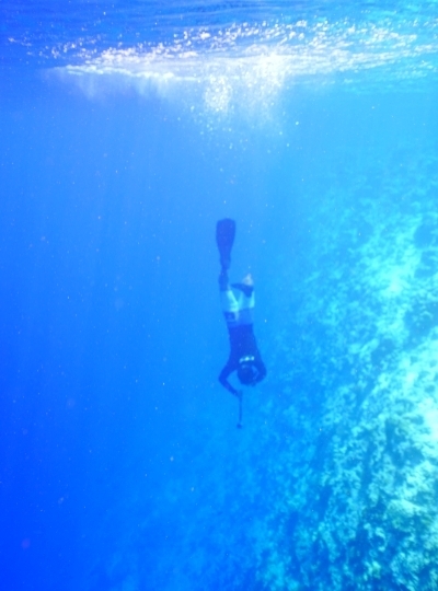 DAY 2 全日出海行程(三個點)→日落海釣→酒店晚餐