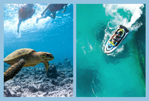 2026年 經典雙島 X 鯨鯊共游 馬爾地夫玩水活動團行程 七日 馬爾地夫旅遊-經典雙島。雙浮潛點X鯨鯊共游 雙居民島行程 八日