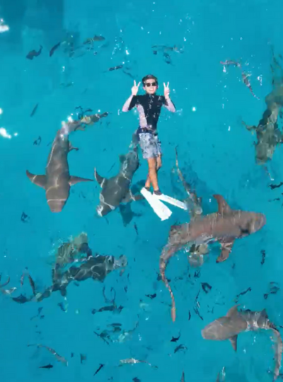 經典 Shark bay 全日出海之旅(護士鯊共遊/魟魚觀賞/海豚巡弋/無人島沙洲/活動簡餐)→返回島上休息→酒店內享用晚餐