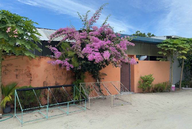 居民島全日自由活動(亦可自費參加島上水上活動或繼續參加Manta風暴之旅)