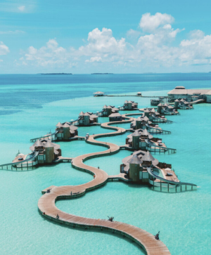 索尼瓦-嘉尼島 索尼瓦-嘉尼島