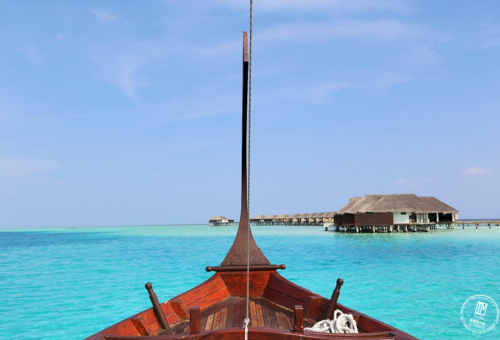 夢幻渡假島。Velassaru薇拉沙露 x 居民島經典SHARK BAY