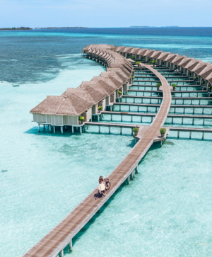 【新加坡航空x馬爾地夫海境天堂】LUX South Ari Atoll純渡假島七天五夜