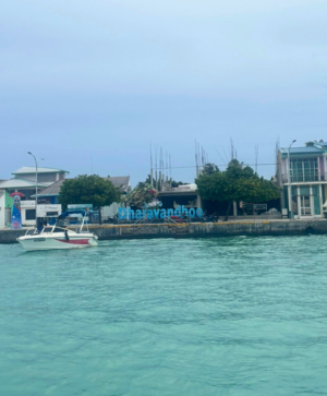 2026年 風暴之旅。護士鯊共游 X Manta風暴 馬爾地夫玩水活動團行程 七日