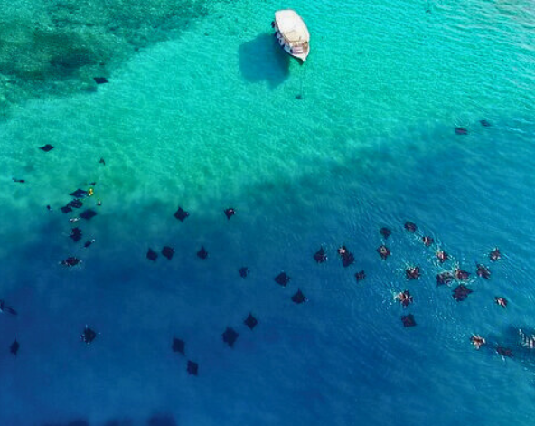 Day 1 台北→吉隆坡→馬列機場