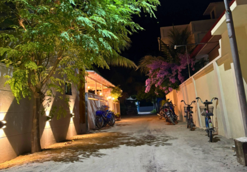 早餐後退房→居民島上自由活動→回到機場島→飛往轉機地