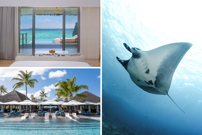 返回馬列機場→搭乘快艇→前往DusitD2 Feydhoo Maldives全包式渡假村