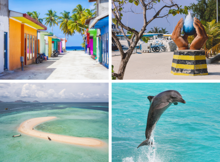 經典出海-護士鯊共遊、魟魚觀賞、海豚巡弋、無人島沙洲 (活動午餐)→稍做休息→酒店晚餐