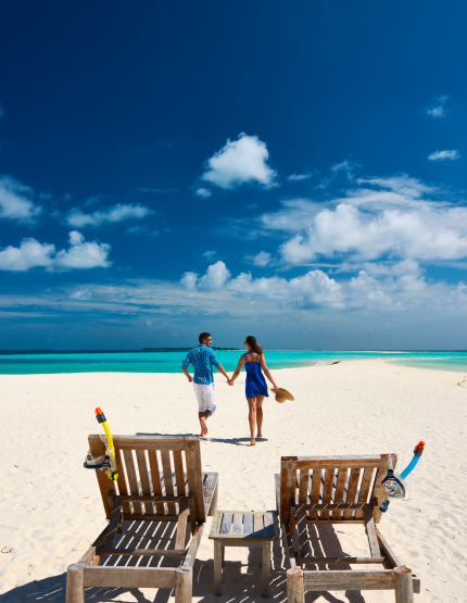 經典出海-護士鯊共遊、魟魚觀賞、海豚巡弋、無人島沙洲 (活動午餐)→稍做休息→酒店晚餐