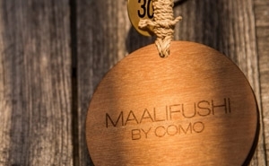 去馬爾地夫找鈦美