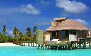 去馬爾地夫找鈦美