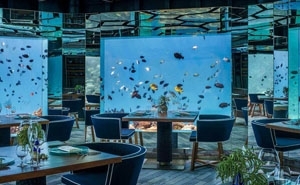 去馬爾地夫找鈦美