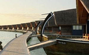 去馬爾地夫找鈦美