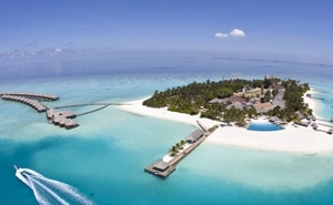 去馬爾地夫找鈦美